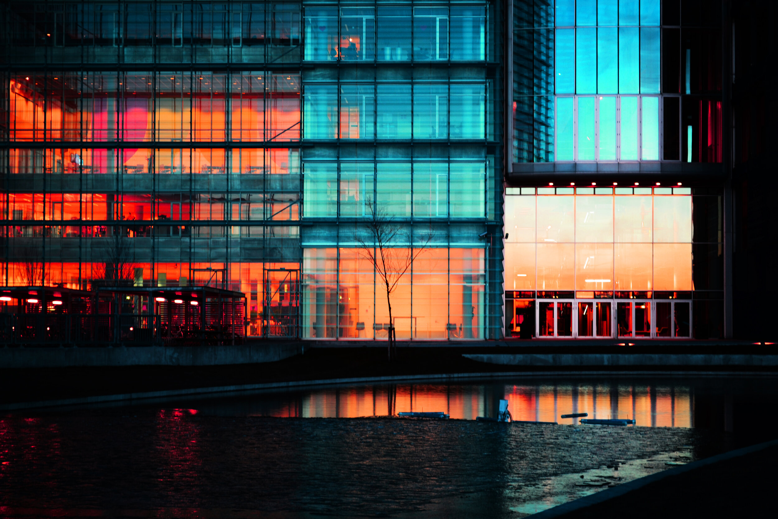 Trending in Tax —&nbsp;February 25, 2020
