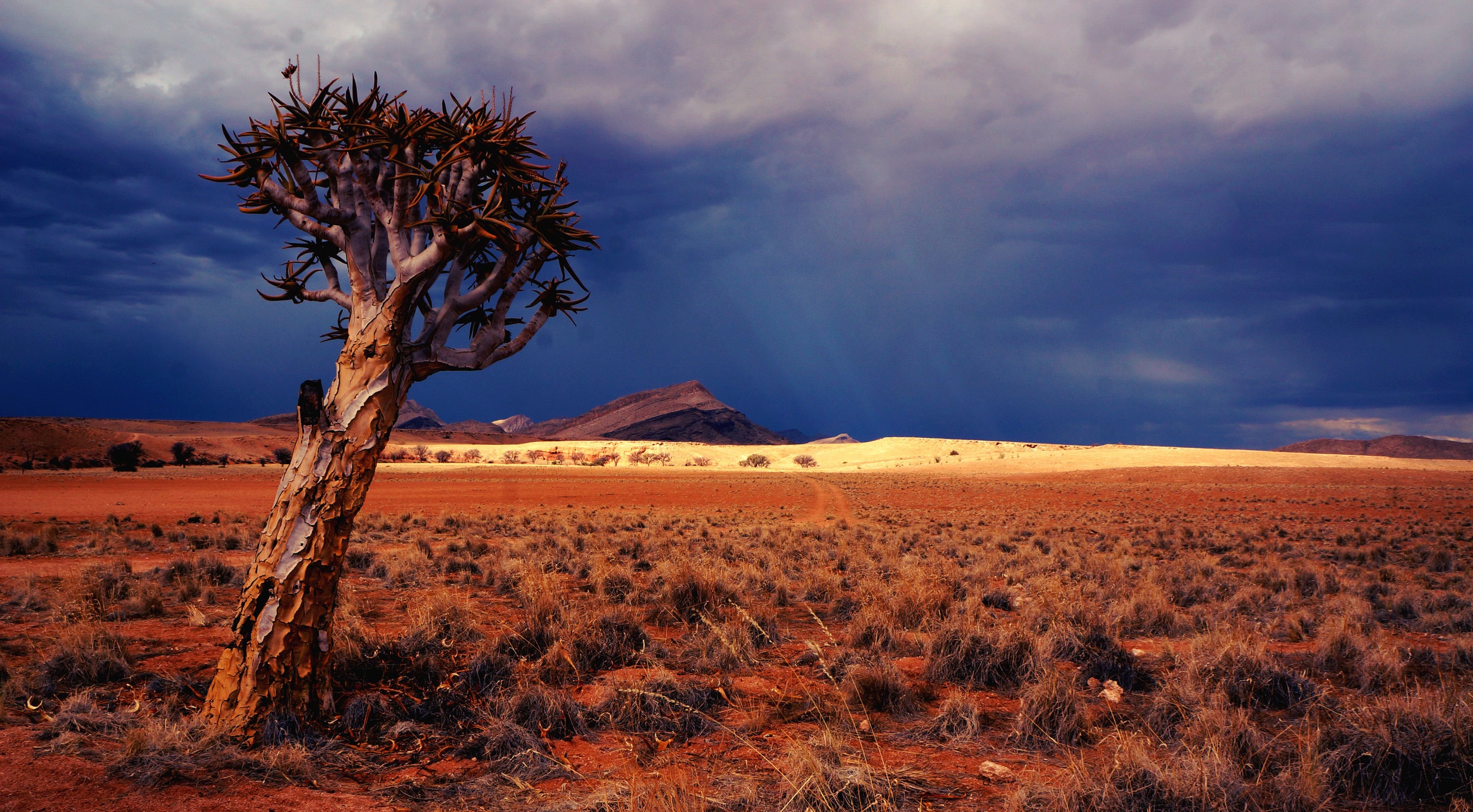 Tabacks-Legal-Services-Africa.jpg